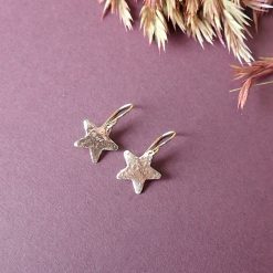 14k gold filled star earrings